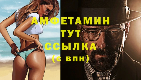 трава Балахна