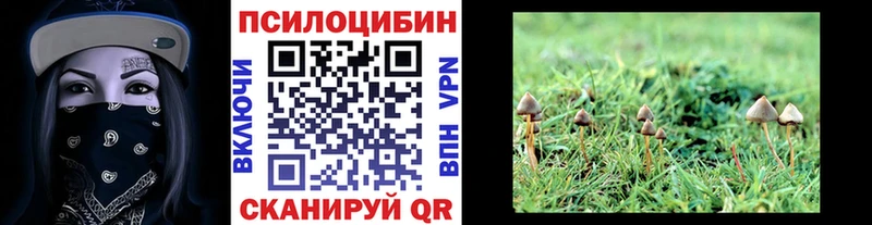 площадка формула Кизляр Псилоцибиновые грибы Psilocybe цены наркотик гидра как войти